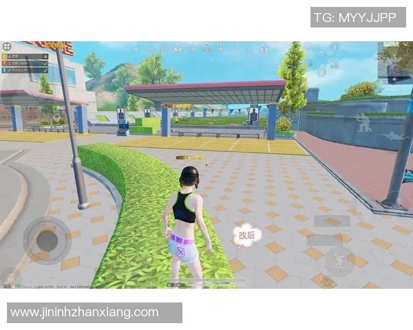 和平精英中LNG战术引发热议玩家对战术选择的分歧与思考